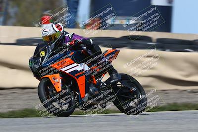 media/Mar-22-2025-TrackDaz (Sat) [[0456df0c41]]/Group C/Session 2 (Grapevine)/